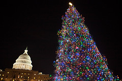 Capitol Christmas Tree Lighting Ceremony 2012