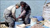 China's Hunger for Fish Crosses Borders