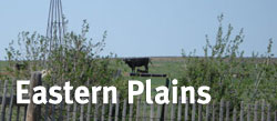 Eastern Plains