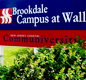 Bachelors & Masters through Brookdale