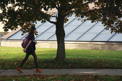 Walking in an autumn wonderland.