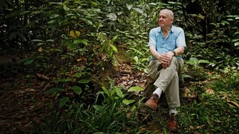 David Attenborough sits in the jungle