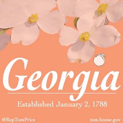 Photo: Today marks the 225th anniversary of Georgia achieving statehood. Georgia was the first southern state, and fourth of the original 13 colonies, to ratify the Constitution. We are proud of our history and look forward to a positive and prosperous future.