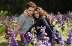 Twilight Saga: Breaking Dawn - Part 2, The