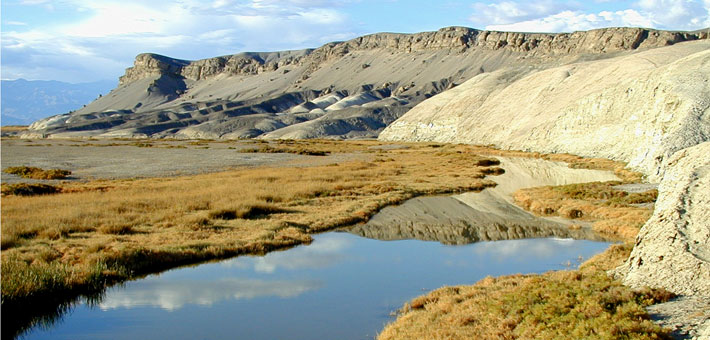 Photo of springs at Salt Creek