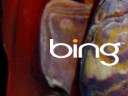 Bing Logo