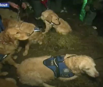 Photo: CNN via YouTube // Comfort dogs visit children in Newtown, Conn.

