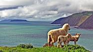 <b>Travelzoo:</b> Up to $1000 off  New Zealand adventures