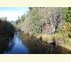 Martha Creek is a tributary to Trout Creek.