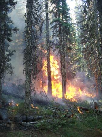 Picture of actual fire on Mt. Adams