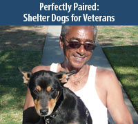 Perfectly Paired Shelter Dogs for Veterans