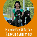 Build a Home for Life for Rescued Animals