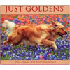 Just Goldens 2013 Desk Calendar