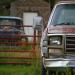 The Junk Cars of Cleveland, New Mexico