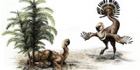 Dinosaurs May Have Shaken Their Tail Feathers to Woo Mates