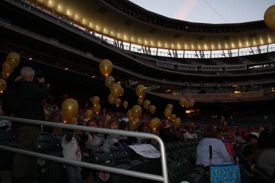 2012 Light The Night Walk at Target Field