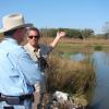 New Dallas wetland habitat reduces flood risk, too [Image 4 of 4]