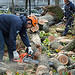 Hurricane Sandy Clean-up