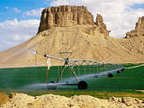  Sprinkler picture - A picture of a sprinkler system irrigating green wheat fields in front of desert rock formations