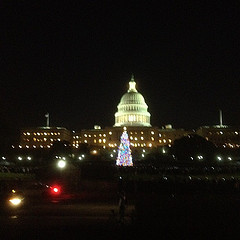 Capitol Christmas Tree is lit! #capitolchristmas