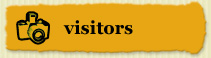 Visitors Button