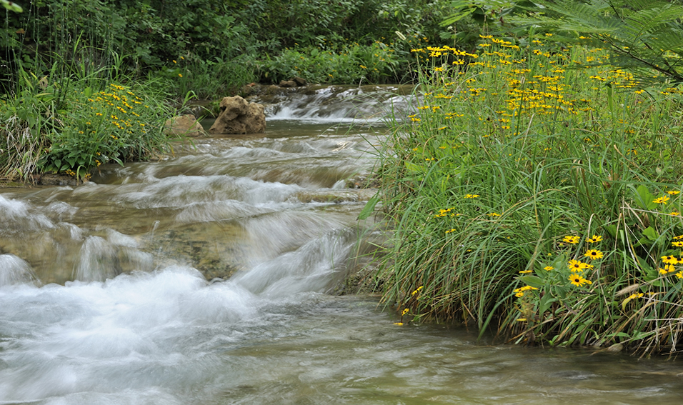 Chickasaw National Recreation Area