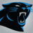 Carolina Panthers