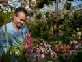 AOC gardener at the U.S. Botanic Garden