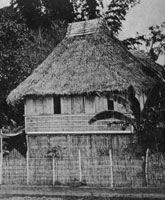 A hut in Luzon, Philippines