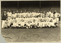 New York Yankees Baseball Team Posed