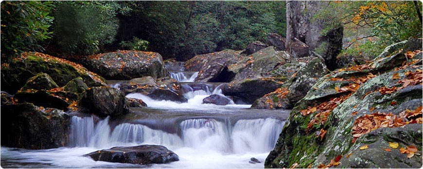 Seek out the beauty of an Upstate <a href='http://www.discoversouthcarolina.com/see-do/explore-the-state/falls-whitewater/default.aspx'>mountain stream</a>.