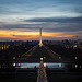 The Sun Sets Over the Capitol Christmas Tree