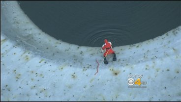 Emergency Officials Say Dog Owners Should Be Careful Around Thin Ice