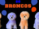 Broncos Fan Fever