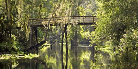 Hillsborough River foot bridge