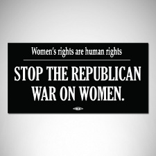 Women's Rights Car Magnet