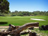 Olivas Links Golf Course