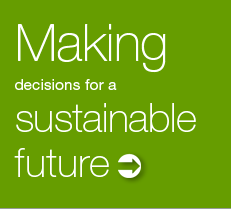 Making Decisions For A Sustainable Future