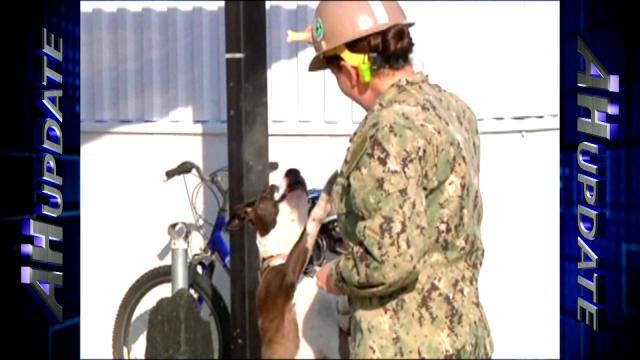 SEABEEs Celebrate Canine Mascot