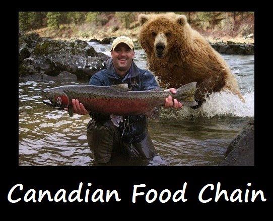 Canadian Food Chain