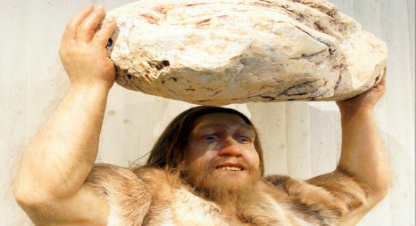 neanderthal