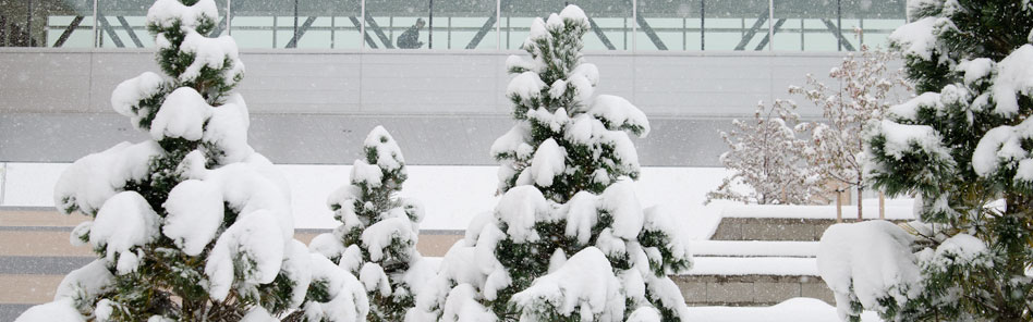 BYU-Idaho allows students to obtain a complete degree online.