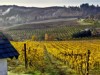 Top 10 Wine Travel Destinations of 2013 