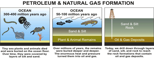 Three images,  about Petroleum & Natural Gas Formation. Adapted from the National Energy Education Development Project.
              The first image is about the Ocean 300 to 400 million years ago. Tiny sea plants and animals died and were buried on the ocean floor. Over time, they were covered by layers of sand and silt.
              The second image is about the Ocean 50 to 100 million years ago. Over millions of years, the remains were buried deeper and deeper. The enormous heat and pressure turned them into oil and gas.
              The third image is about Oil & Gas Deposits. Today, we drill down through layers of sand, silt, and rock to reach the rock formations that contain oil and gas deposits.