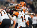 Wild Card Playoffs - Cincinnati Bengals v Houston Texans