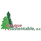 Bosque Sustentable A.C. (Sustainable Forest)