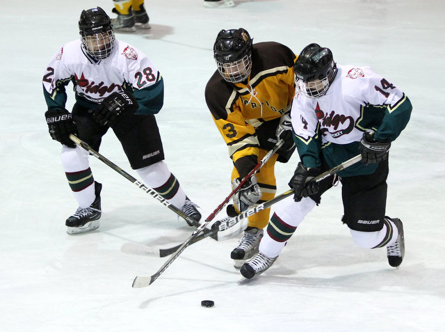 Watchung Hills vs. Ridge Ice Hockey Jan 11, 2013