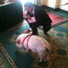 Cong. Flake with the CAGW pig.jpg