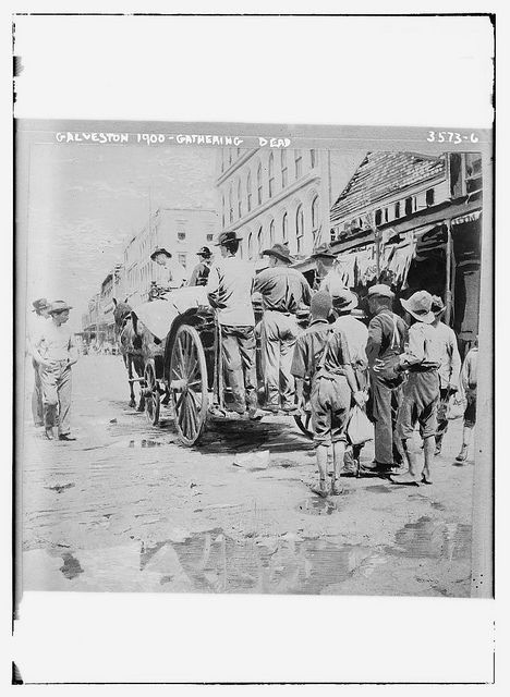 Galveston 1900 - gathering dead  (LOC)