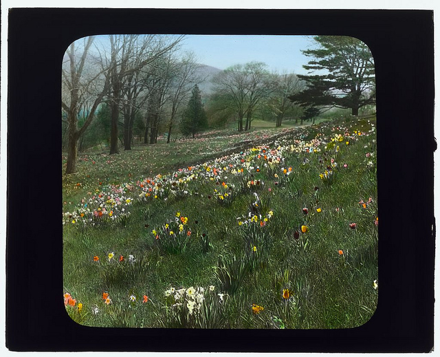 ["Cragston," John Pierpont Morgan house, Highland Falls, New York. (LOC)